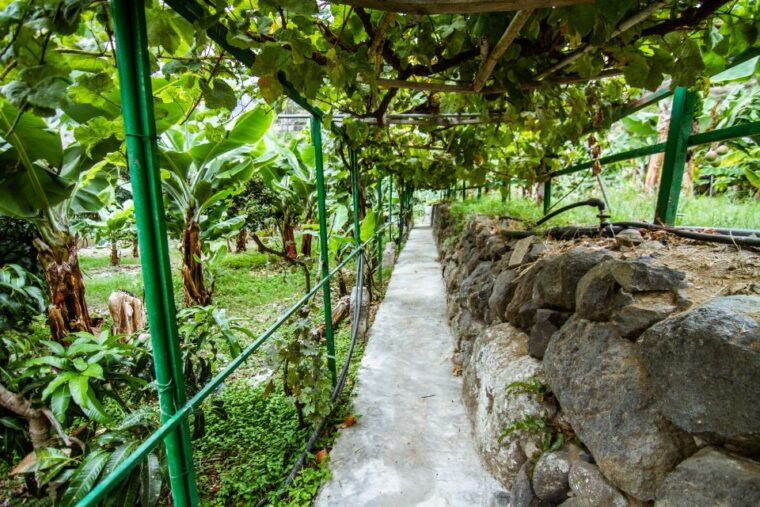 la-gomera-entry-ticket-for-the-ethnographic-park