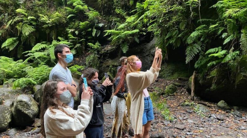 la-gomera-garajonay-national-park-entry-ticket-and-tour