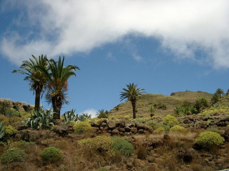 la-gomera-guided-hiking-tours-from-valle-gran-rey