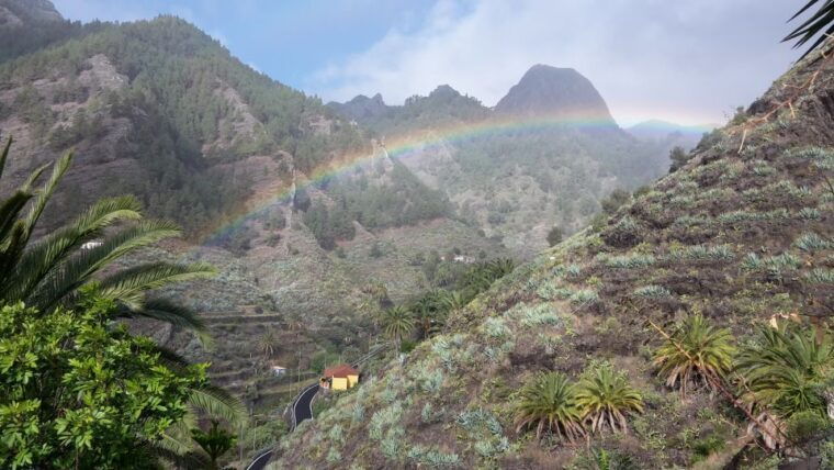 la-gomera-rural-life-experience-mojo-workshop