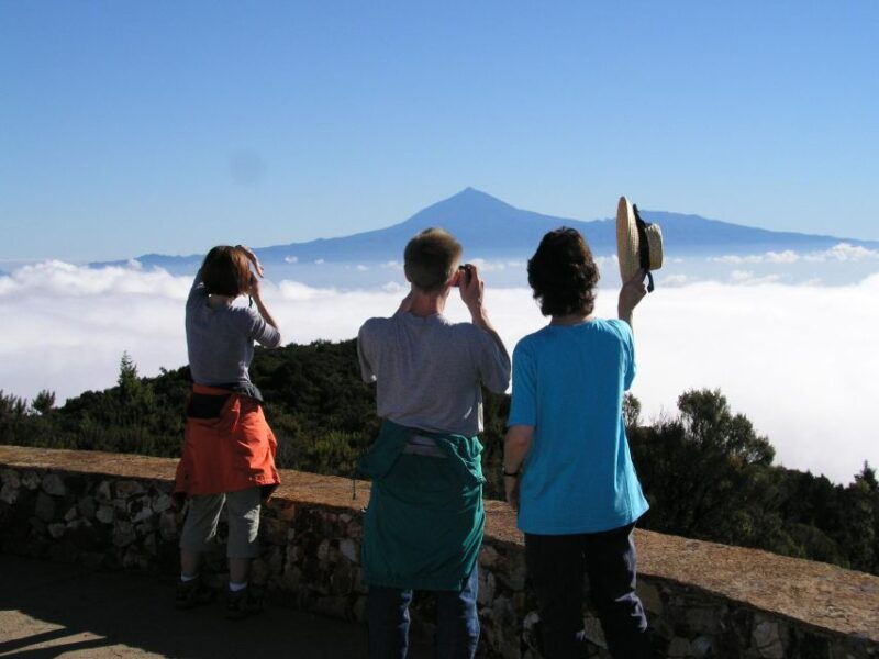 la-gomera-the-rain-forest-national-park