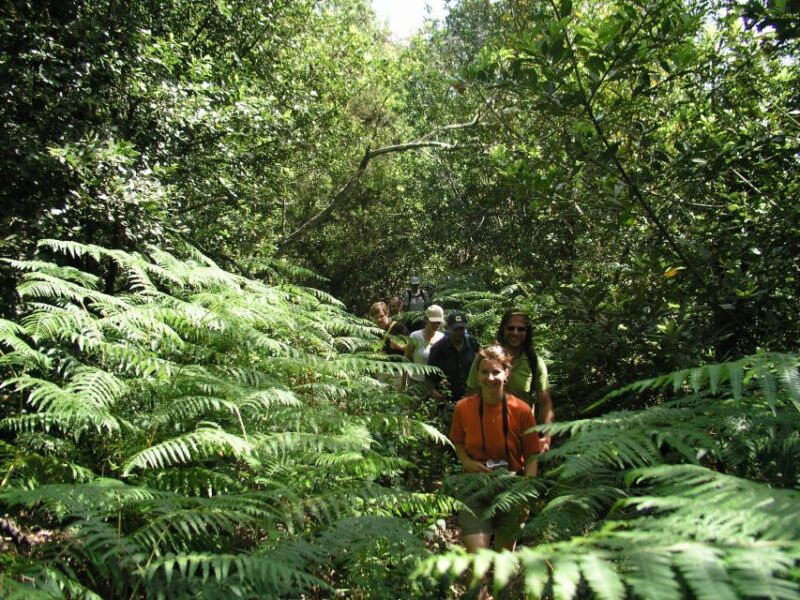 la-gomera-the-rain-forest-national-park