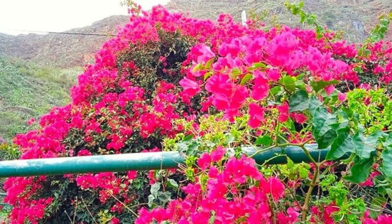 la-gomera-vip-experience