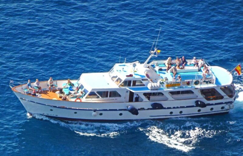 la-gomera-whale-watching-tour-on-an-vintage-boat