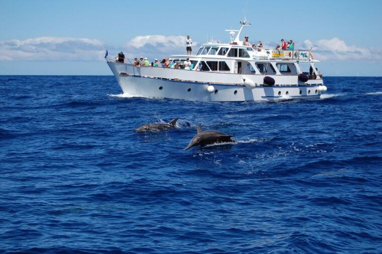la-gomera-whale-watching-tour-on-an-vintage-boat