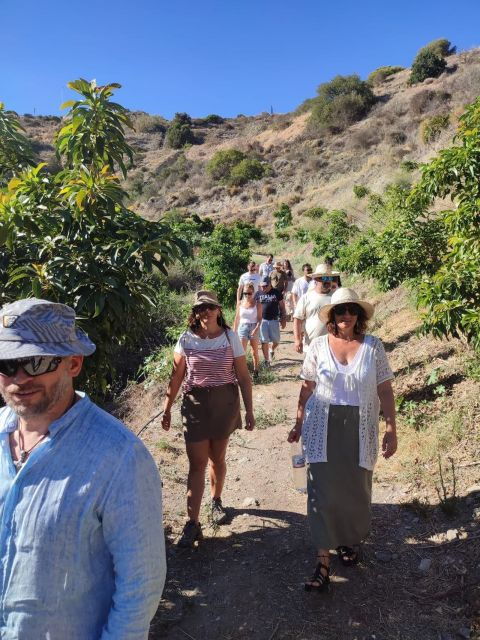 la-herradura-coffee-farm-tour-in-europes-only-plantation