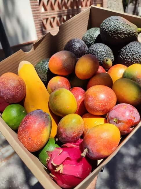La Herradura: Private Visit to Europe's Only Coffee Farm - La Herradura: Private Visit to Europes Only Coffee Farm — An In-Depth Review