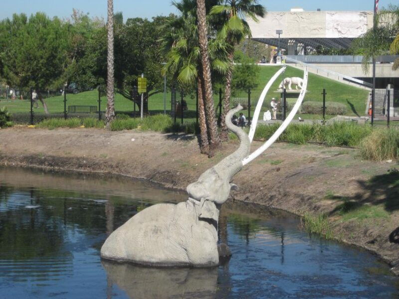 la-hop-on-hop-off-audio-guide-celebrity-homes-package