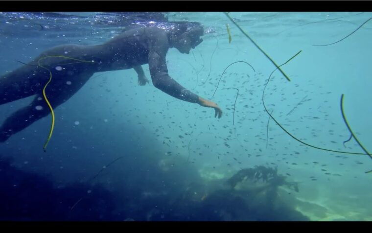 la-jolla-2-5-hour-kayak-and-snorkel-tour