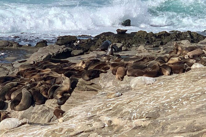la-jolla-jig-scavenger-hunt