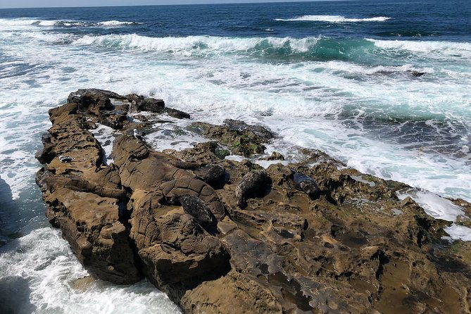 la-jolla-segway-tour