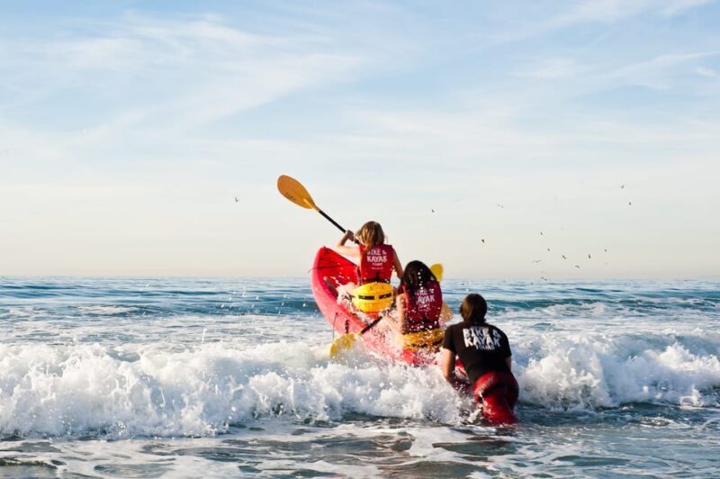 La Jolla: Sunset Kayak Tour of the 7 Caves - Who Will Love This Tour?
