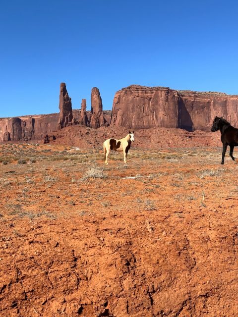 LA: Las Vegas, Sedona, Monument, Antelope Canyon, 5-Day Tour - FAQ