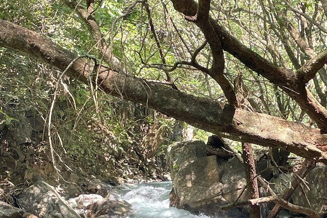 la-leona-waterfall-hiking-tour-lunch