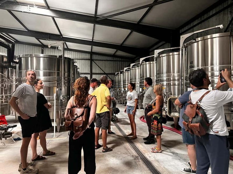 La Londe-les-Maures: Half-Day Wineries Tour with Tastings - An in-Depth Look at the Tour Itinerary and Experience