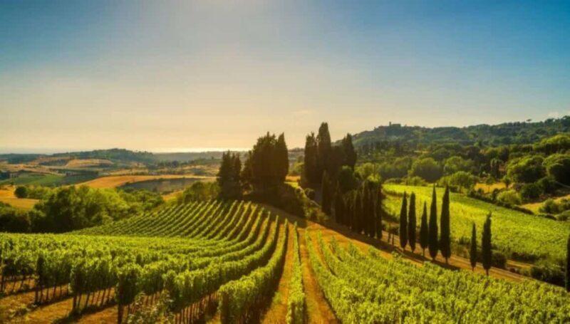 La Madama: A Journey through Piedmont's Tradition and Wines - Exploring the Pearls of the Tour