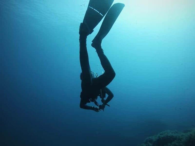 La Maddalena Archipelago & Lavezzi: Adventure Dives trip - An In-Depth Look at the Experience