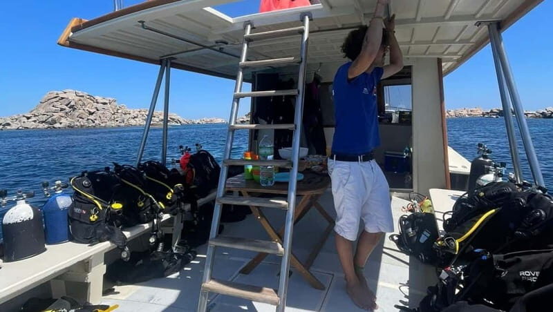La Maddalena & Lavezzi: Full-Day Boat Scuba Diving Trip - Exploring the Tour Itinerary in Depth