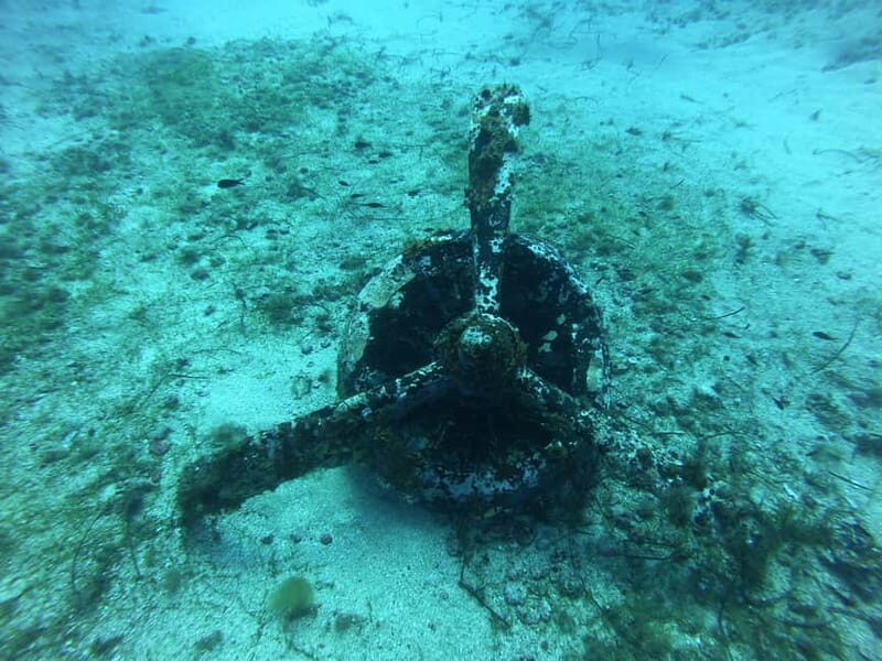 La Maddalena & Lavezzi : scuba diving for certified divers. - Equipment and Additional Costs