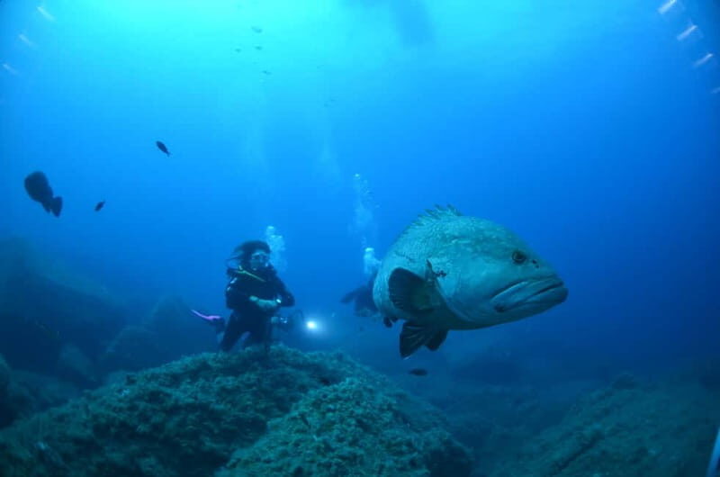 La Maddalena: Scuba Diving Experience for Beginners - Final Thoughts