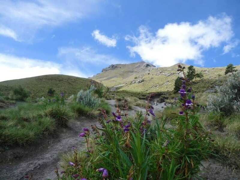 La Malinche Volcano: Hike to the Top and Explore Tlaxcala - Who Should Consider This Tour?