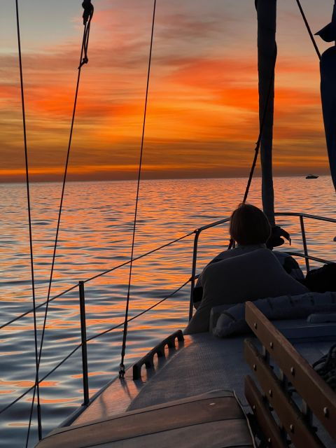 la-marina-del-rey-sea-lion-boat-tour-with-byob