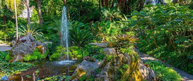 La Mortella Gardens excursion from Ischia - Key Points
