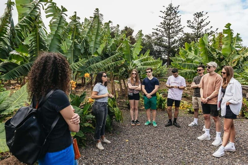 La Orotava: Eco Banana Plantation Tour with Banana Liquor - Practical Details and Tour Logistics