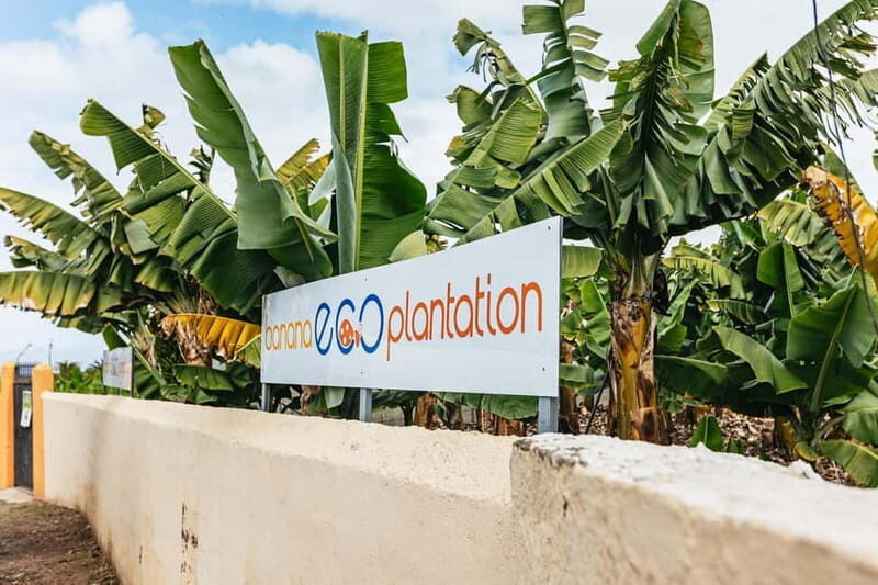 La Orotava: Eco Banana Plantation Tour with Banana Liquor - What’s Not Included
