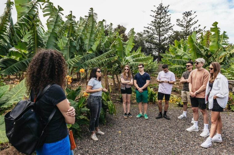 la-orotava-eco-banana-plantation-tour-with-banana-liquor
