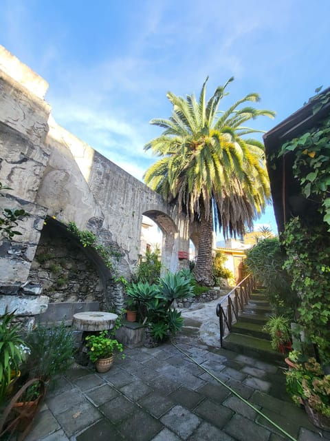 la-orotava-guided-tour-with-gofio-tasting-the-mills-of-the-villa