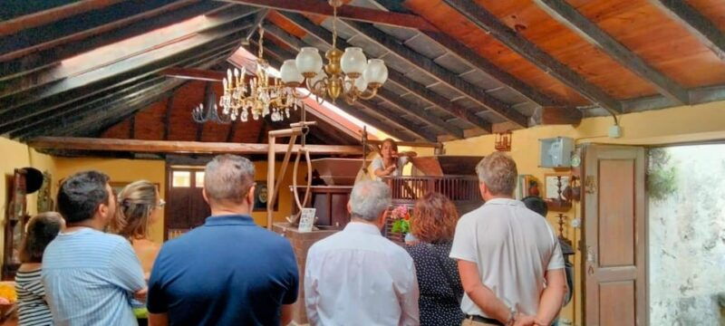 la-orotava-guided-tour-with-gofio-tasting-the-mills-of-the-villa