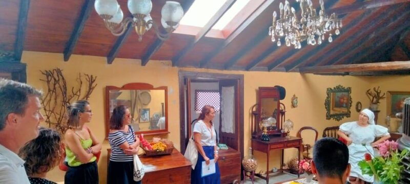 la-orotava-guided-tour-with-gofio-tasting-the-mills-of-the-villa