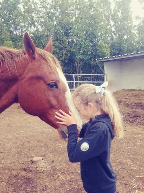 La Orotava: Workshop "Natural Horsemanship" and Permaculture - An In-Depth Look at the La Orotava Workshop