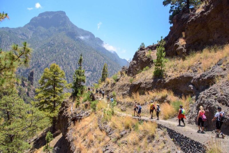La Palma: Caldera de Taburiente National Park Guided Hike - Starting Point: Los Brecitos Observation Deck