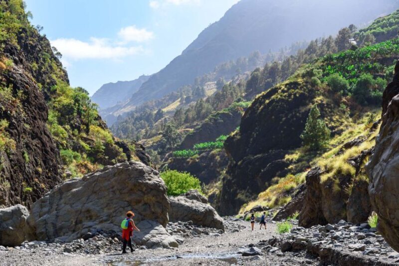 La Palma: Caldera de Taburiente National Park Guided Hike - Who Should Consider This Tour?
