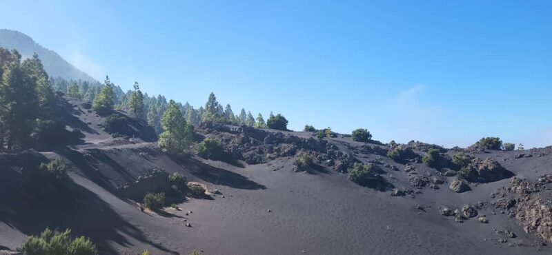 La Palma: EBike tour with Komoot - Exploring La Palma on an E-Bike: A Practical Guide to the Island’s Natural Beauty