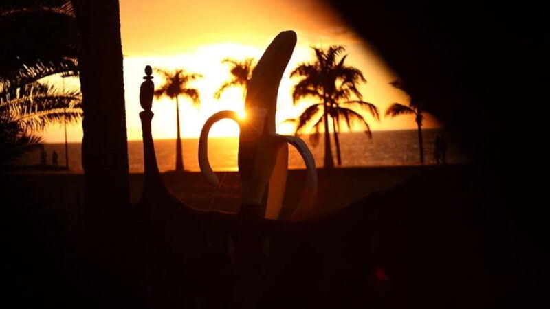 la-palma-guided-tour-ecofinca-platanologico-the-edible-forest