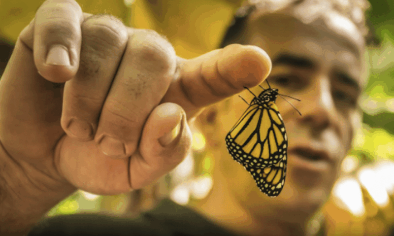 la-palma-guided-tour-ecofinca-platanologico-the-edible-forest