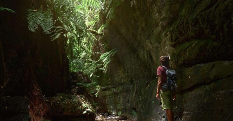 la-palma-guided-trekking-tour-to-cubo-de-la-galga