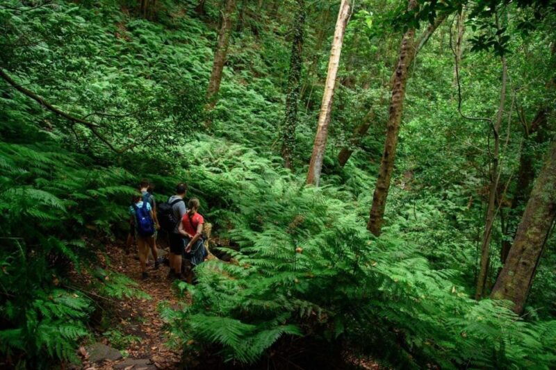 la-palma-guided-trekking-tour-to-cubo-de-la-galga
