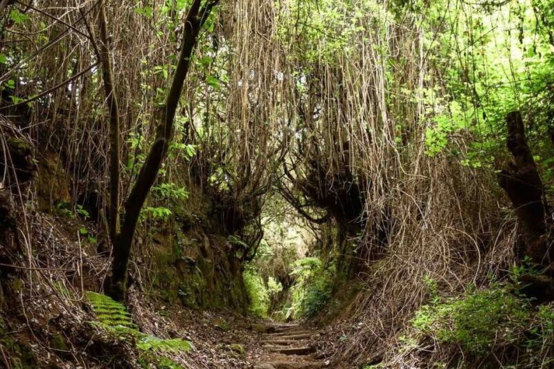 la-palma-guided-trekking-tour-to-cubo-de-la-galga