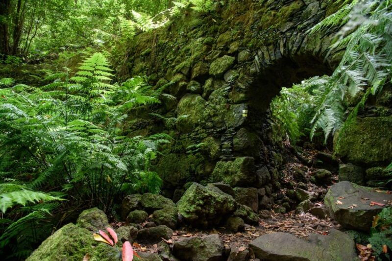 la-palma-guided-trekking-tour-to-cubo-de-la-galga