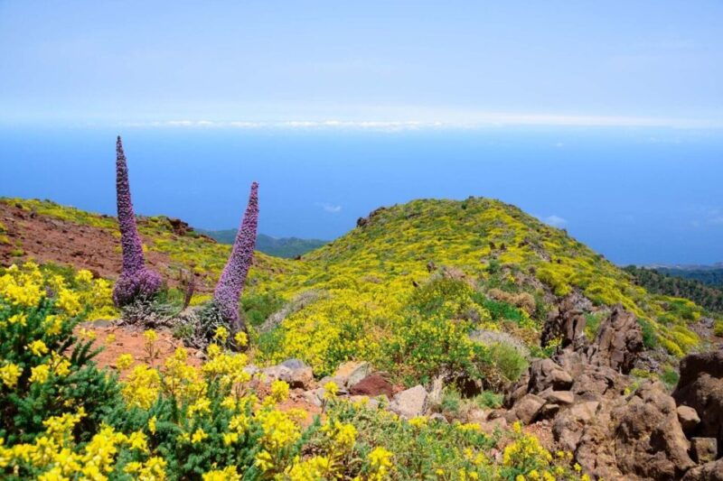 la-palma-guided-trekking-tour-to-el-roque-de-los-muchachos