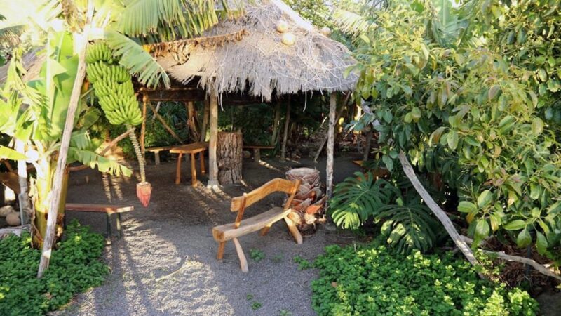La Palma: PlatanoLógico Edible Forest Tour - Why This Tour Is Worth Considering
