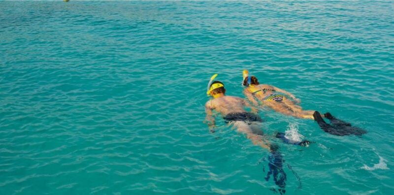 la-palma-snorkeling-tour-in-los-cancajos