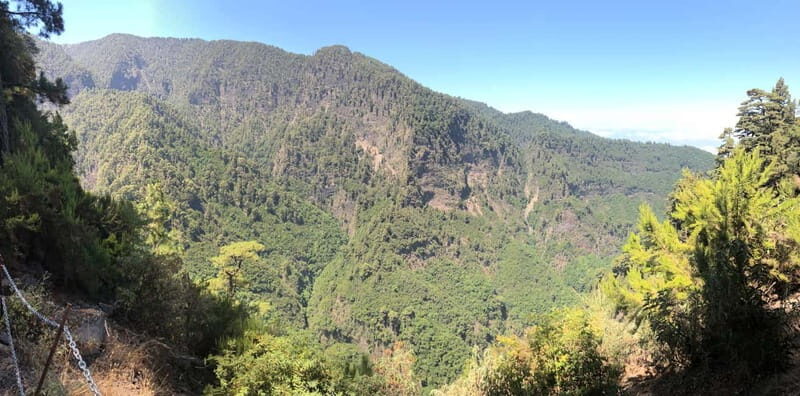 La Palma: Springs Marcos y Cordero Guided Trekking Tour - Key Points