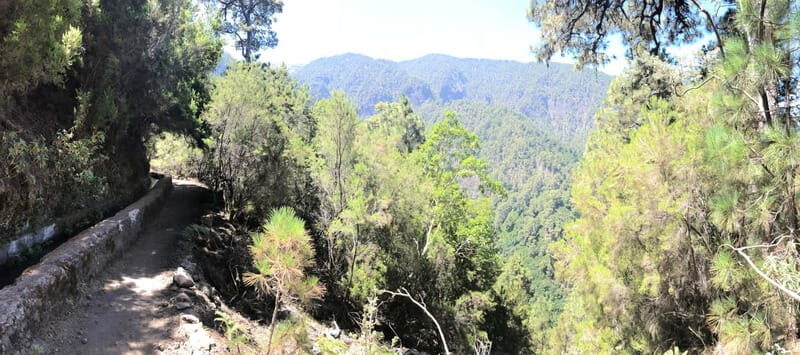 La Palma: Springs Marcos y Cordero Guided Trekking Tour - An In-Depth Look at the Tour Experience