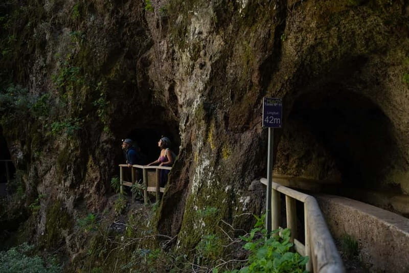 La Palma: Springs Marcos y Cordero Guided Trekking Tour - Additional Insights from Reviews