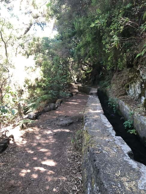 La Palma: Springs Marcos y Cordero Guided Trekking Tour - FAQ
